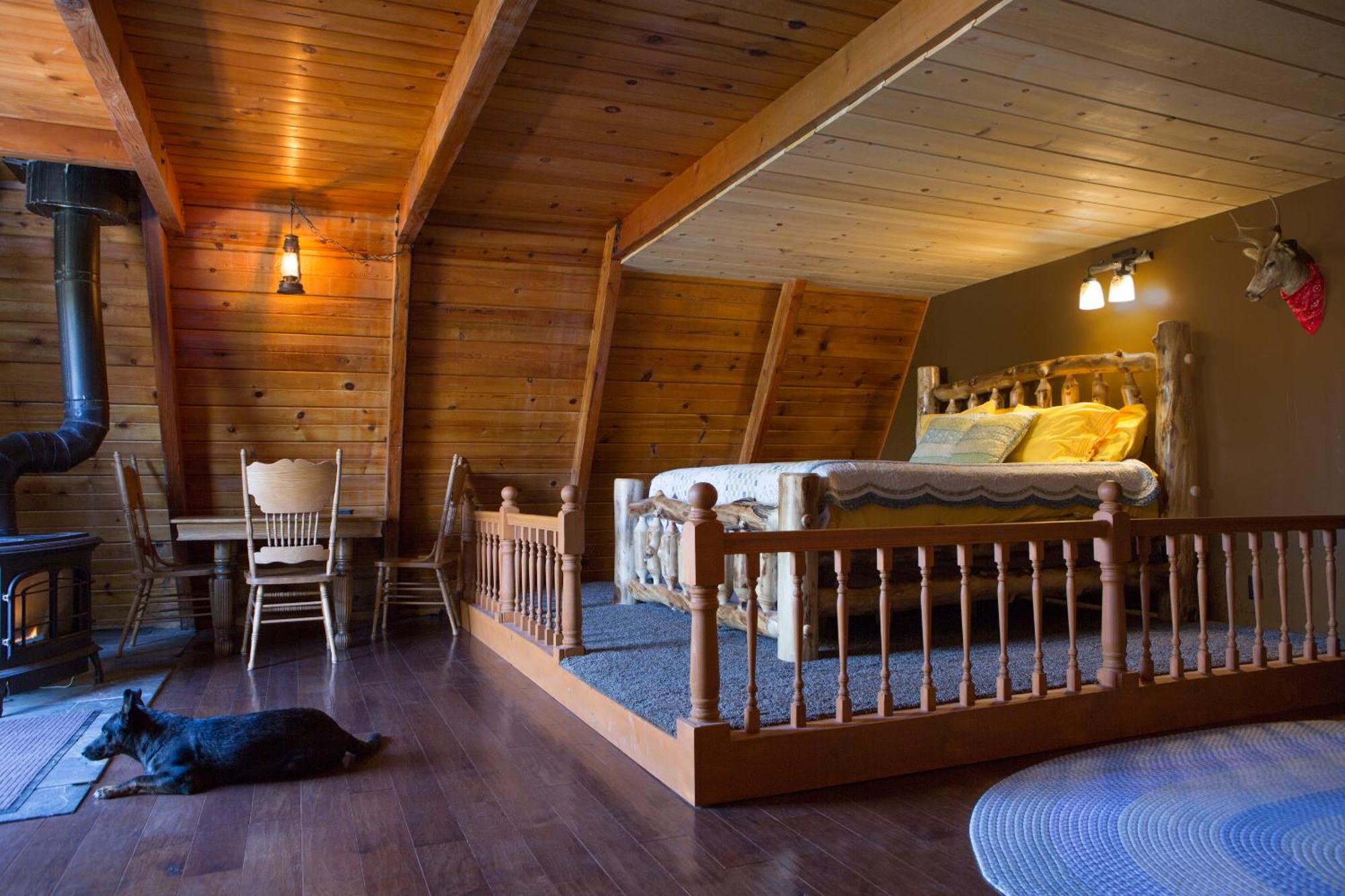 Hicksville Pines Chalets & Motel Idyllwild Kültér fotó